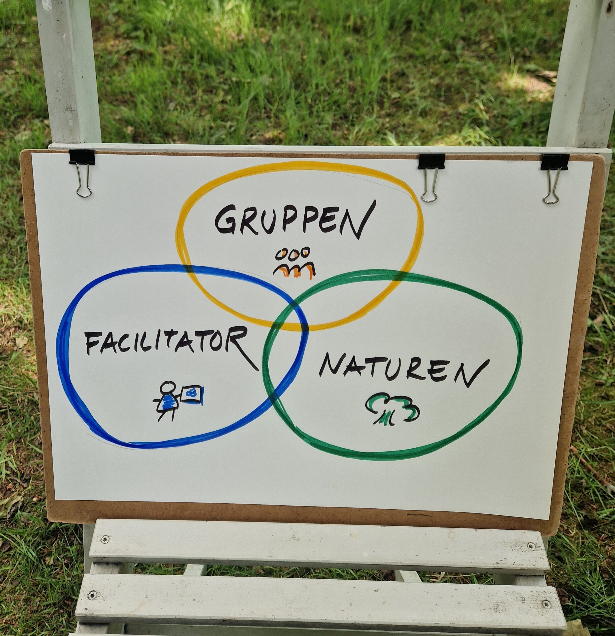 Partnerskapet Venndiagram med Gruppen, Facilitatorn, Naturen